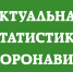 Оперативно - Сетевое издание Пинежье