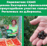 Сельхозперепись завершилась - Пинежский муниципальный район