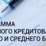 На льготное кредитование малого и среднего бизнеса выделено более 14 млрд рублей - Сетевое издание Пинежье