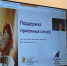 В Архангельской области состоялся форум приемных родителей - Сетевое издание Пинежье