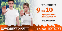 В Поморье стартует противопожарная кампания «Останови огонь!» - Сетевое издание Пинежье