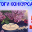 Подведены итоги муниципального конкурса «Военная пластинка» - Сетевое издание Пинежье