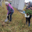 В деревне Городецк завершился первый этап проекта «Неугасима память поколений» по региональной программе «Комфортное Поморье» - Сетевое издание Пинежье