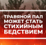 Об опасности сухой травы и мусора - Пинежский муниципальный район